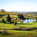 Addressing Affordable Childcare Options in Loudoun County, VA