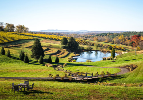 Addressing Affordable Childcare Options in Loudoun County, VA