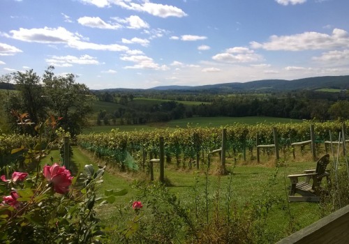 Supporting and Protecting Local Agriculture in Loudoun County, VA